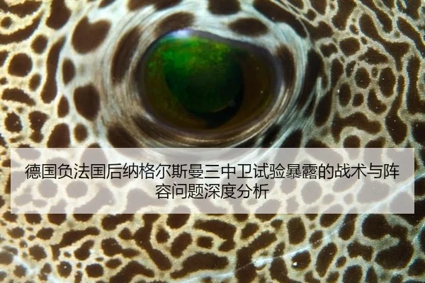 de-guo-fu-fa-guo-hou-na-ge-er-si-man-san-zhong-wei-shi-yan-bao-lu-de-zhan-shu-yu-zhen-rong-wen-ti-shen-du-fen-xi-2-956.jpg